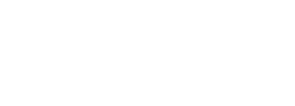 Vigile